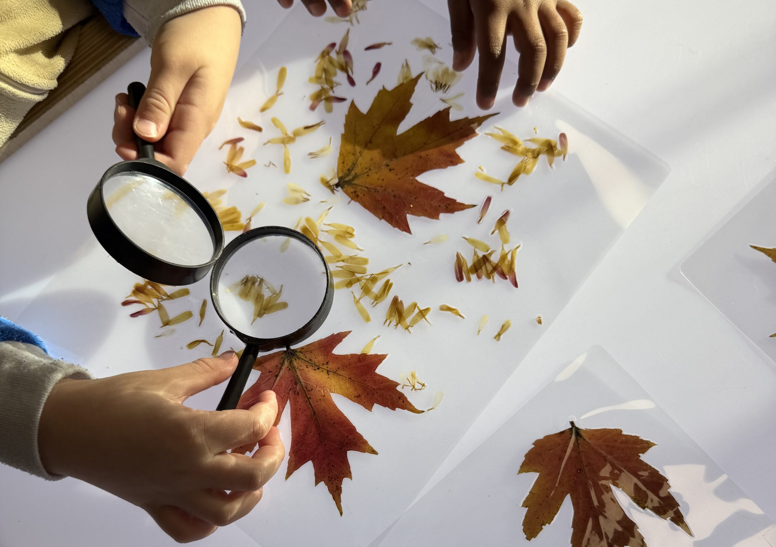 Ivybrook Academy - Slide 2