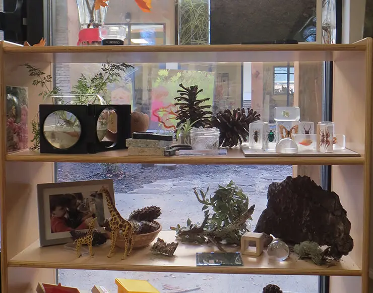 Ivybrook Academy - Slide 3